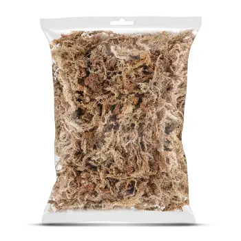 Mech torfowiec Sphagnum moss 25g