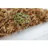 Mech torfowiec Sphagnum moss 150g