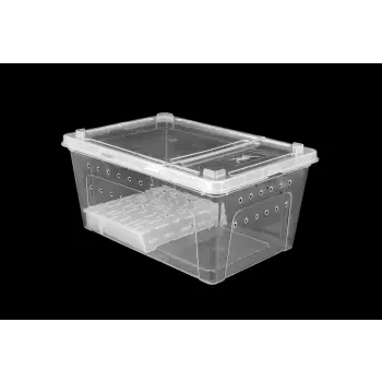 Pojemnik hodowlany BREEDING BOX z platformą 19 cm