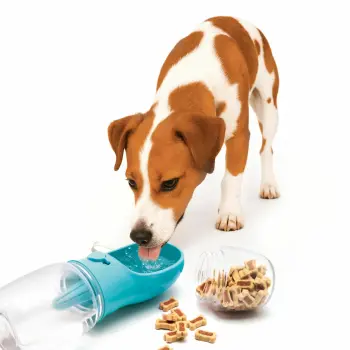 2w1 butelka 350ml + pojemnik na smaczki