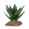 R148 ozdoba terrarium Happet 12 cm