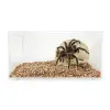 Terrarium akrylowe 30 cm