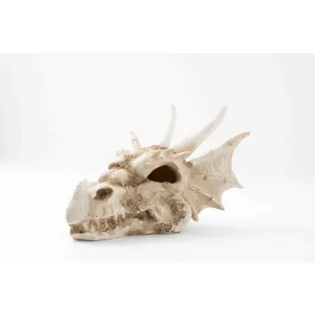 R206 ozdoba terrarium czaszka smok