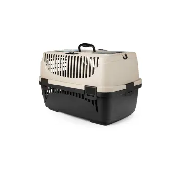 Transporter Molly M beżowy&brązowy