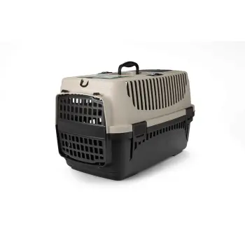 Transporter Molly M beżowy&brązowy