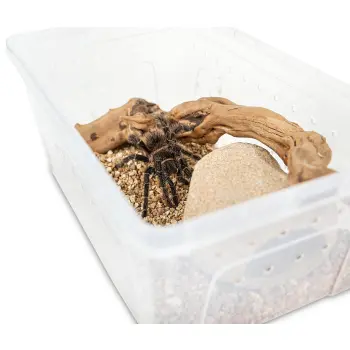 Pojemnik hodowlany BREEDING BOX z platformą 27 cm