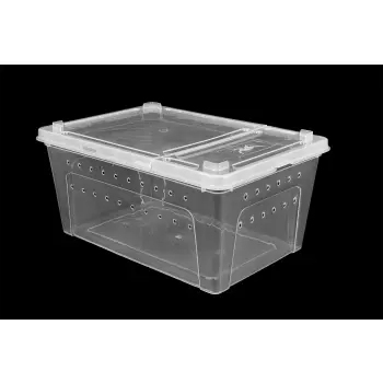 Pojemnik hodowlany BREEDING BOX 19 cm