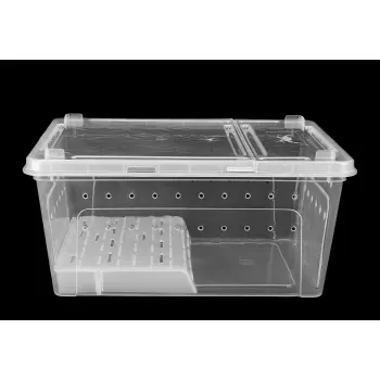 Pojemnik hodowlany BREEDING BOX z platformą 32 cm