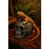 R205 ozdoba terrarium czaszka Muerte