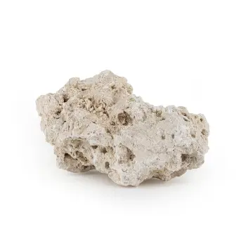 Skała reef rock L 20-25 cm 1 kg