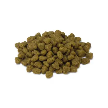 KOLBA CLASSIC DLA GRYZONI I KRÓLIKÓW Z POMARAŃCZAMI