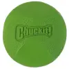 Chuckit! Erratic Ball Medium [201101]