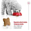 Royal Canin Mini Adult karma sucha dla psów dorosłych, ras małych 0,8kg