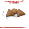 Royal Canin Indoor Apetite Control karma sucha dla kotów dorosłych przebywających w domu, domagających się jedzenia 400g