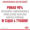 Royal Canin Appetite Control Care karma sucha dla kotów dorosłych, domagających się jedzenia 3,5kg