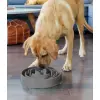Outward Hound Fun Feeder Miska szara [69892]