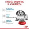 Royal Canin Medium Puppy karma sucha dla szczeniąt, od 2 do 12 miesiąca, ras średnich 1kg