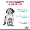 Royal Canin Medium Puppy karma sucha dla szczeniąt, od 2 do 12 miesiąca, ras średnich 4kg