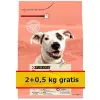 Purina Dog Chow Adult Sensitive Łosoś 2,5kg (2+0,5kg gratis)