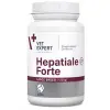 Hepatiale Forte Large Breed (duże psy) 40 tabl.