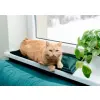 MIMIKO Pets Mata Velvet 25x70cm butelkowa zieleń