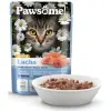 Pawsome Adult Light Lachs - łosoś saszetka 85g