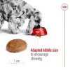 ROYAL CANIN Medium Adult 7+ 15kg