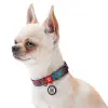 Collar WauDog Nylon Obroża nylonowa z QR-paszportem, plastikowy fastex, wzór LATO, 25mm/37-58cm