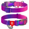 Collar WauDog Recycled Obroża nylonowa z QR-paszportem, gradient L 25mm/33-49cm fioletowy
