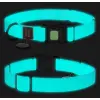 Collar WauDog Waterproof Obroża wodoodporna z QR-paszportem, akumulująca światło, plastikowy fastex, 15mm/25-35cm
