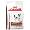 Royal Canin Veterinary Diet Canine Gastrointestinal Low Fat Small 3,5kg