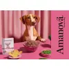 Amanova Dog Adult Tasty Salmon & Turkey - łosoś i indyk saszetka 100g [P06]
