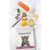 Amanova Cat Sterilised Salmon Deluxe - łosoś 300g