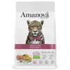 Amanova Cat Adult Salmon Deluxe - łosoś 6kg