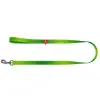 Collar WauDog Nylon Mono Smycz nylonowa odblaskowa M 20mm/200cm jasnozielona