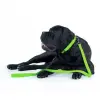 Collar Waterproof Smycz wodoodporna L-XXL 25mm/183cm jasnozielona