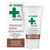 Dr Seidel Intestinal Paste - na zaburzenia wchłaniania jelitowego dla psów i kotów tubka 40g