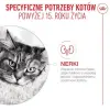 Royal Canin Ageing +15 karma sucha dla kotów dojrzałych 4kg