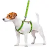 Collar WauDog Nylon Szelki nylonowe anatomiczne w kształcie litery H, z QR-paszportem, plastikowy fastex, wzór AWOKADO, rozmiar M 20mm