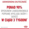 Royal Canin Intense Beauty w galaretce karma mokra dla kotów dorosłych, zdrowa skóra, piękna sierść saszetka 85g
