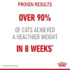 Royal Canin Ultra Light w galaretce karma mokra dla kotów dorosłych, z tendencją do nadwagi saszetka 85g