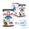 Royal Canin Ultra Light w galaretce karma mokra dla kotów dorosłych, z tendencją do nadwagi saszetka 85g