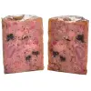 Carnilove Dog Wild Meat Salmon & Turkey Adult - łosoś i indyk puszka 400g