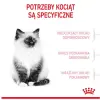 Royal Canin Kitten karma sucha dla kociąt od 4 do 12 miesiąca życia 400g