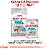 Royal Canin Mini Urinary Care karma sucha dla psów dorosłych, ras małych, ochrona dolnych dróg moczowych 1kg