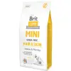Brit Care Grain Free Mini Hair & Skin 2kg