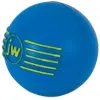 JW Pet iSqueak Ball Medium [32124D]