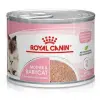 Royal Canin Mother & Babycat Instinctive Mousse karma mokra - mus dla kociąt i kotek karmiących puszka 195g