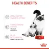 Royal Canin Mother & Babycat Instinctive Mousse karma mokra - mus dla kociąt i kotek karmiących puszka 195g