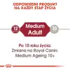 Royal Canin Medium Adult karma mokra w sosie dla psów dorosłych, ras średnich saszetika 140g
